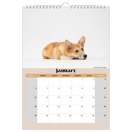 Corgi's Life 2026 - Calendar with planner
